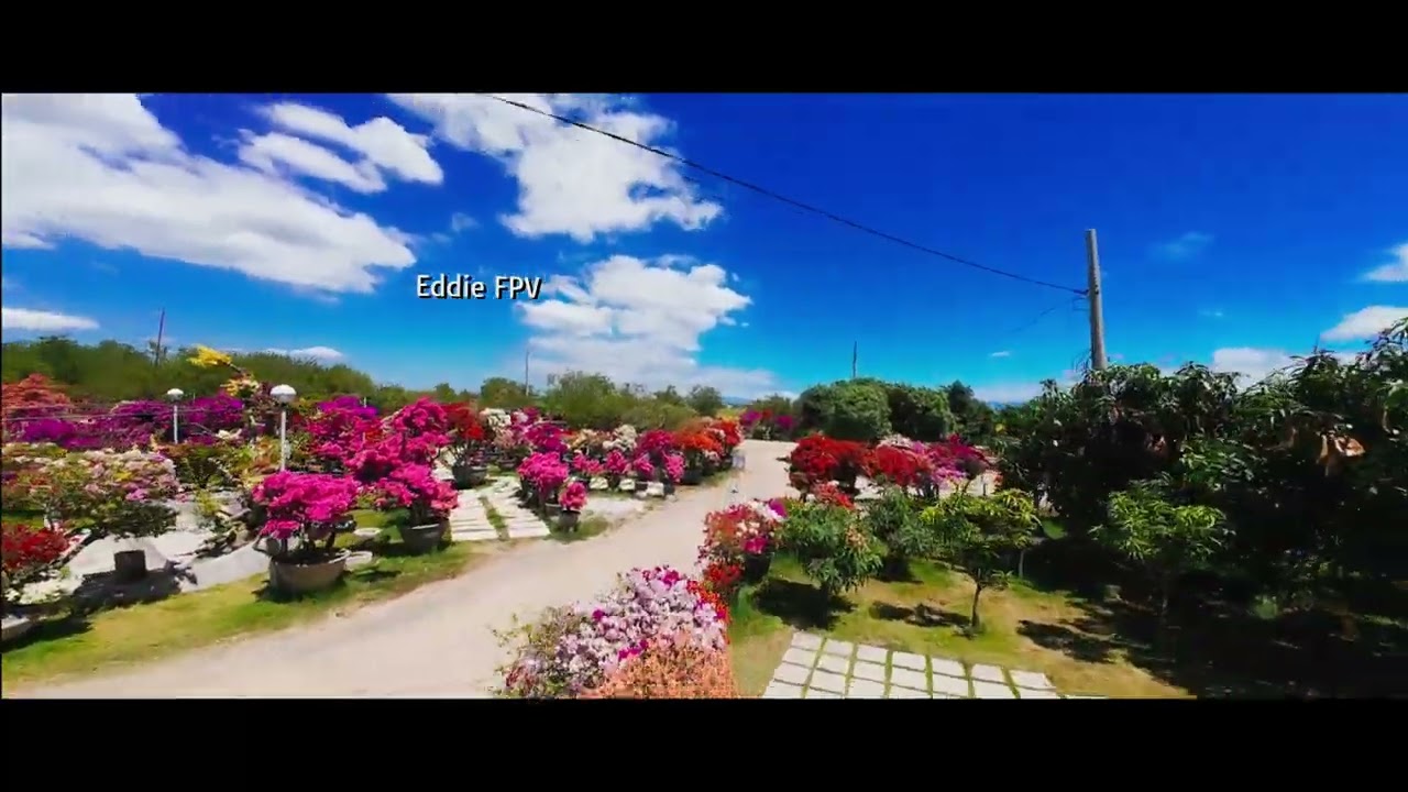 Casa Batik Nueva Ecija