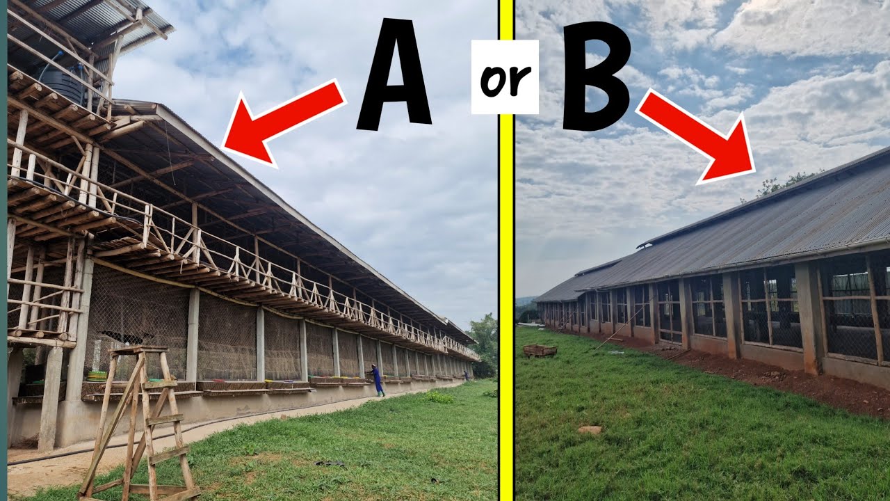 Which is the better Chicken House??