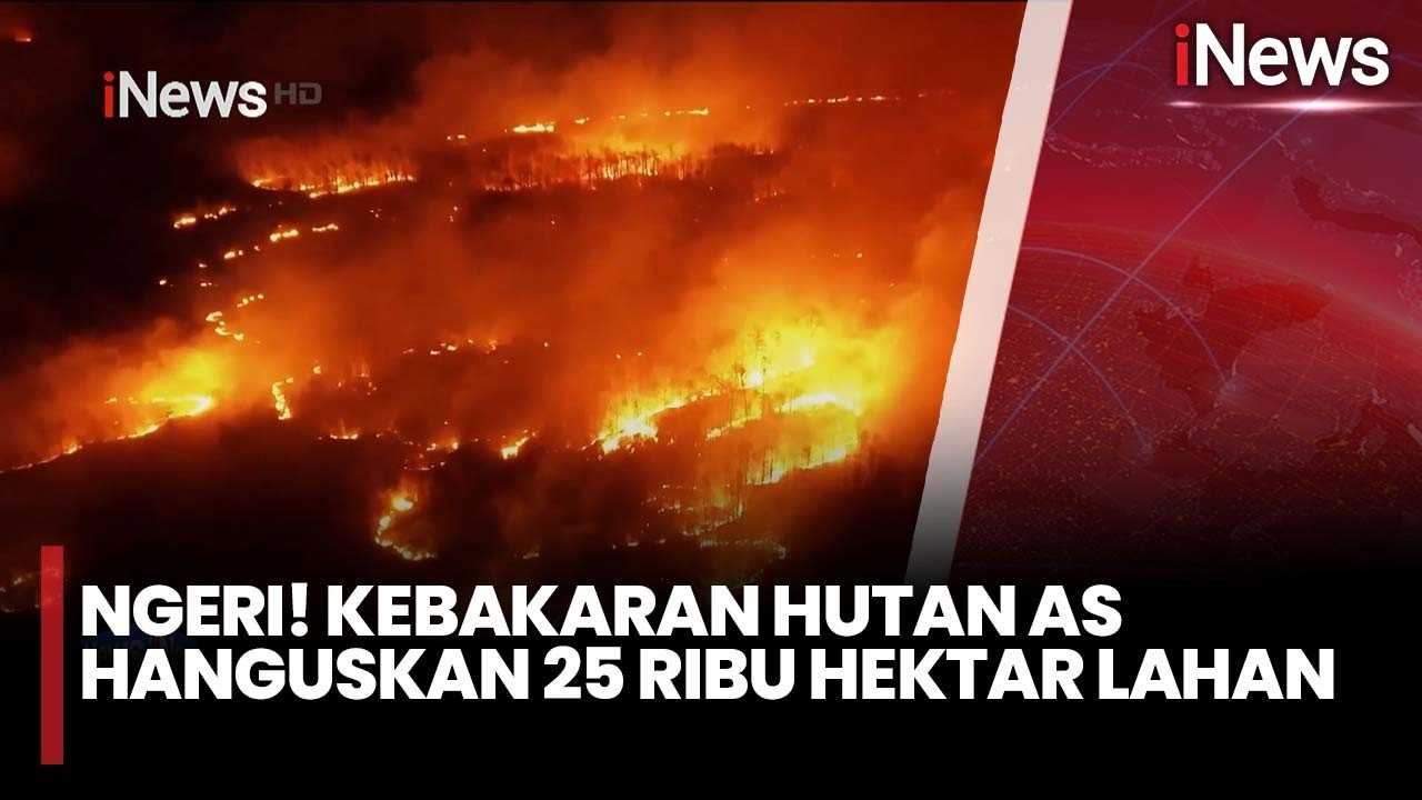 Ngeri! Kebakaran Hutan AS Hanguskan 25 Ribu Hektar Lahan | iNews Sore 26/2