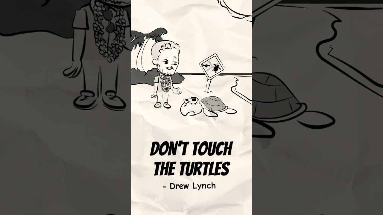 &ldquo;Don&rsquo;t Touch the Turtles&rdquo; | Drew Lynch