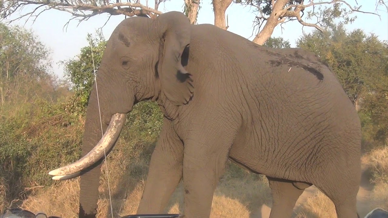 SA Shiduli Lodge at Karongwe Final
