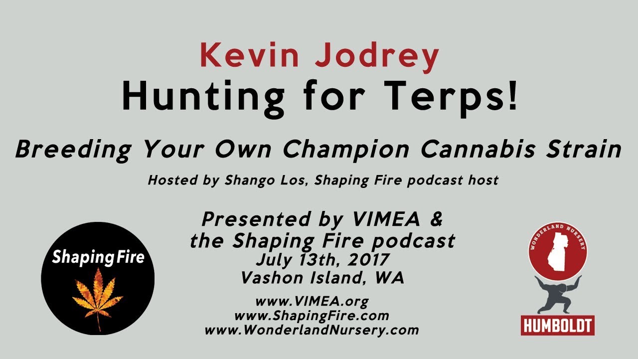 Hunting for Terps! Breeding Your Own Champion Cannabis Strain with Kevin Jodrey