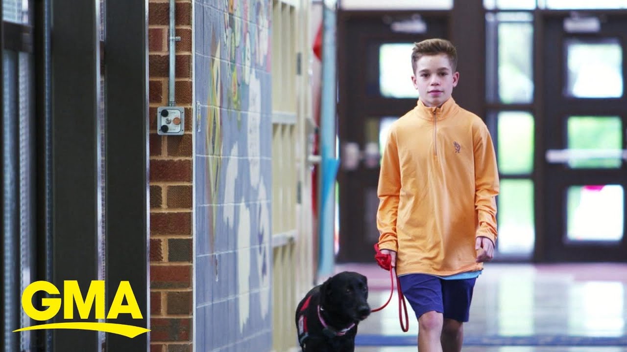 How dogs are helping save kids with life-threatening allergies l GMA
