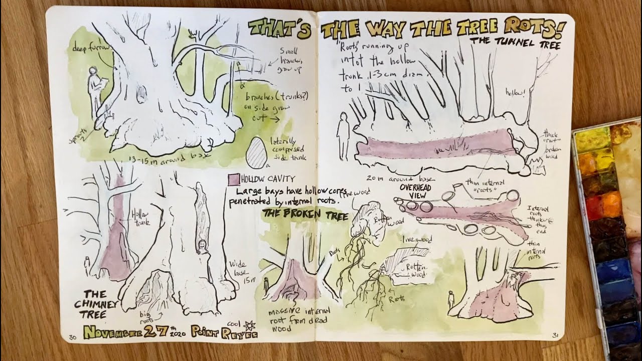 The Nature Journal Connection, Episode 12, Investigation