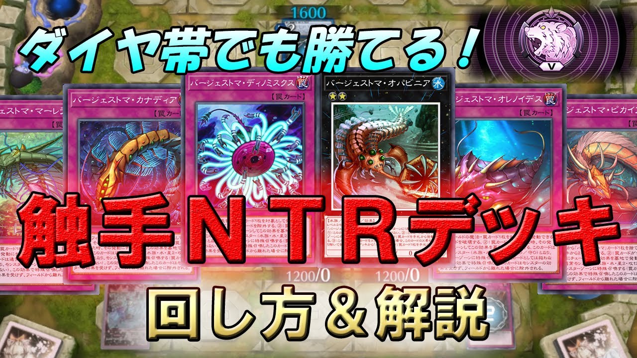 プロの触手使いが徹底解説する『触手NTRデッキ』の回し方【遊戯王マスターデュエル】