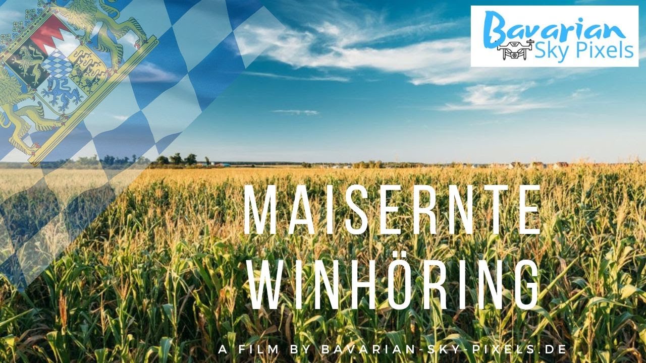 Maisernte Winhöring #bayern #ernte