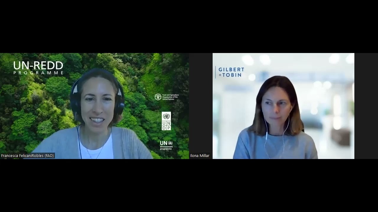 Carbon rights in the context of jurisdictional REDD+: - Ilona Millar's Expert Perspective
