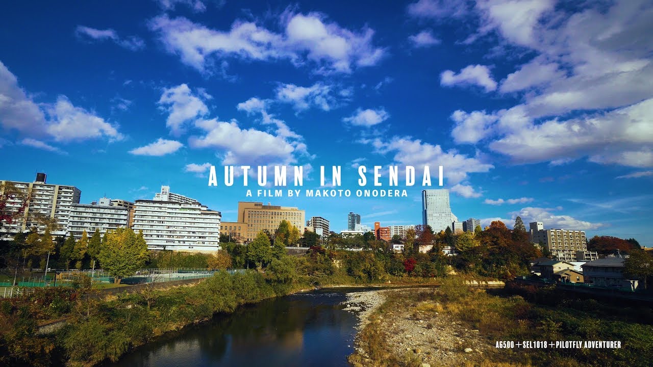 【4K】JAPAN Tohoku Miyagi Sendai / AUTUMN IN SENDAI 秋の仙台 【Ultra HD】