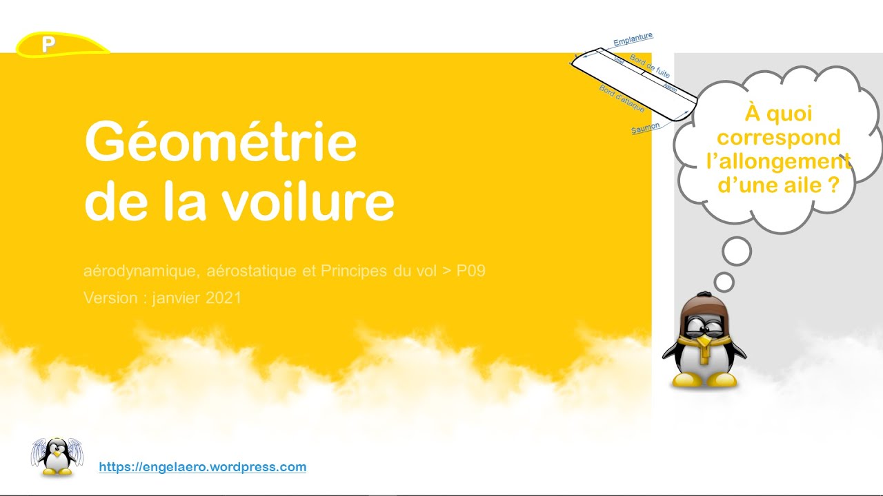 🛫Géométrie de la voilure (BIA, Principes du vol🎈09)