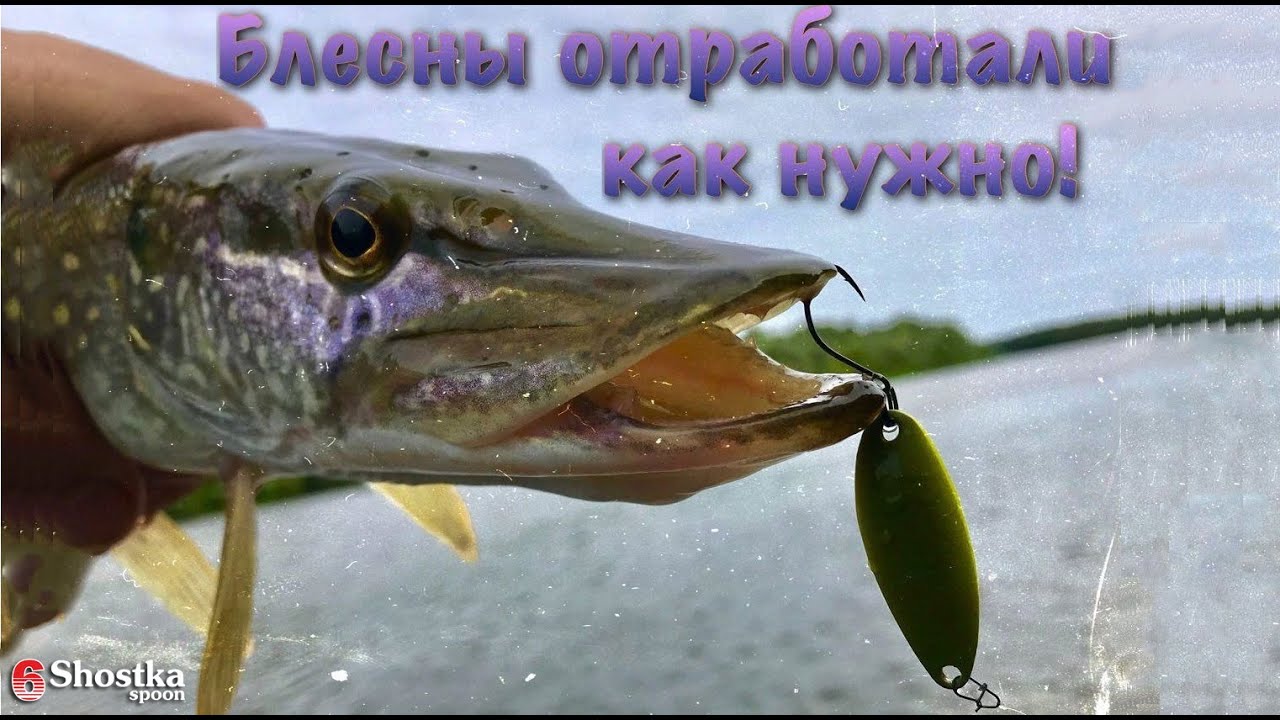Хорошие блесны, ловят все!   Рыбалка на Десне, шел сплавом от села до села.