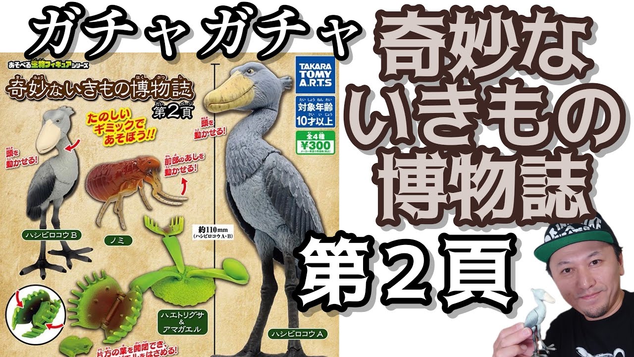 【ガチャガチャ】奇妙ないきもの博物誌第２頁『ハシビロコウ』【帰って来た！！】開封&レビューします。＠タカラトミーアーツ