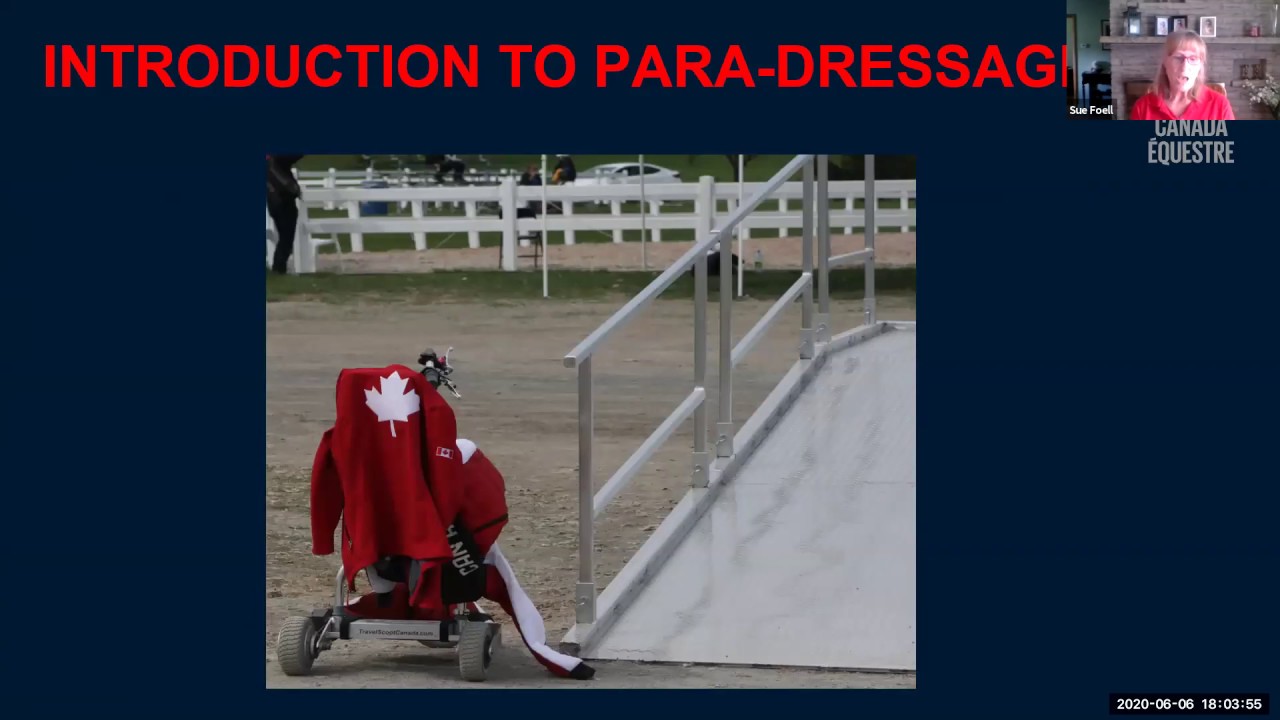 Para-Dressage Webinar: Para-Dressage Classification