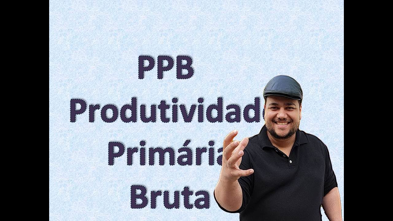 PPB - Produtividade Primária Bruta