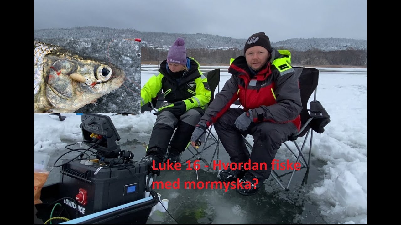 TCs julekalender: 16 Hvordan fiske med mormyska?