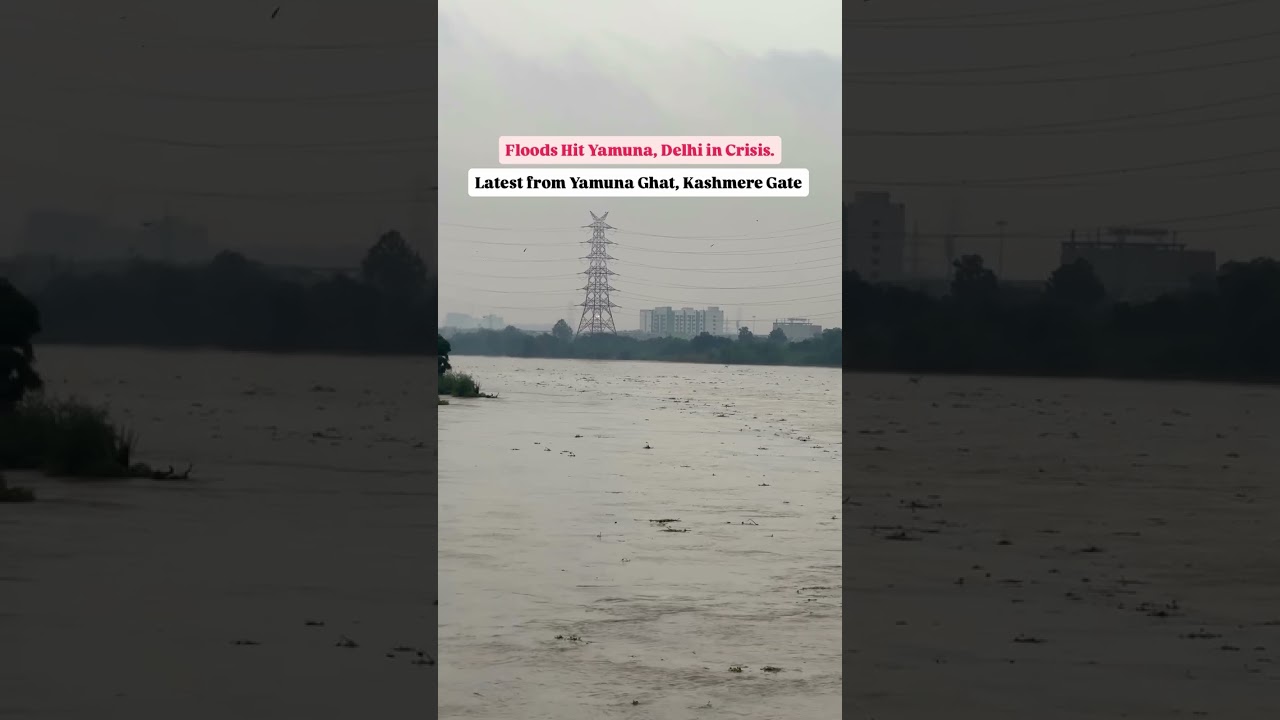 Floods Hit Yamuna River#delhi #yamunariver #yamuna #floods #floodalert #uttarakhand #himachalpradesh