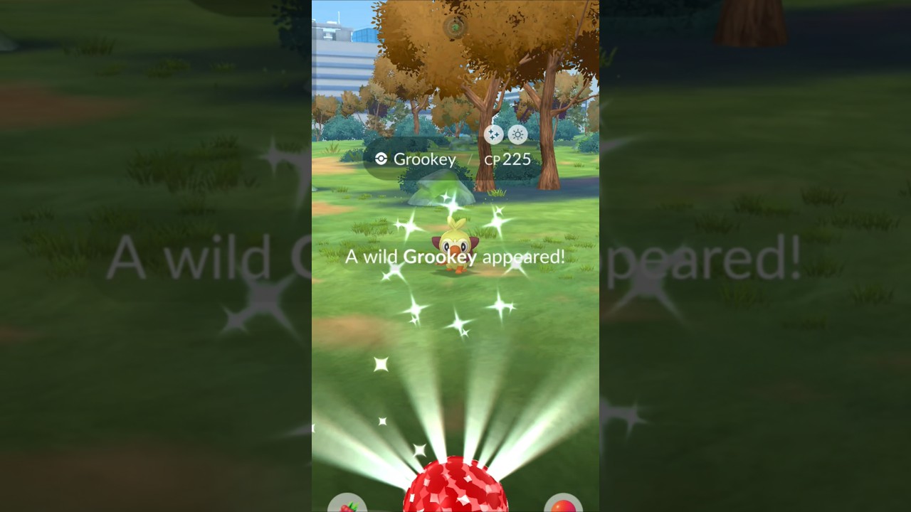 COMMUNITY DAY SHINY GROOKEY IN POKEMON GO ✨