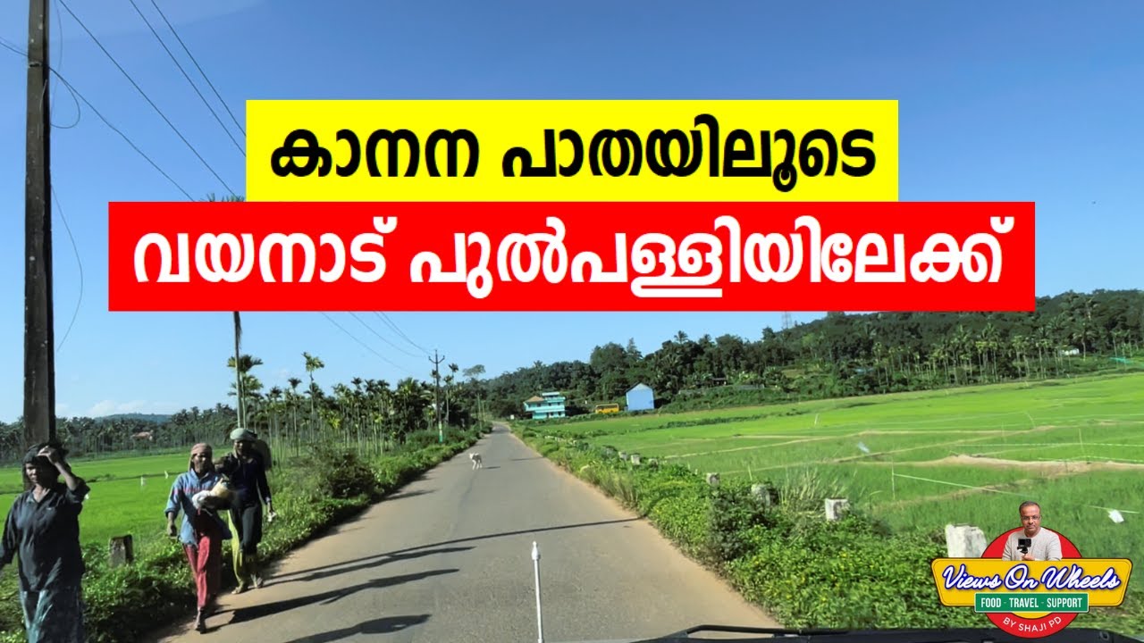 കാനന പാതയിലൂടെ വയനാട് പുല്പള്ളിയിലേക്ക് | 4K | Sights never seen  before