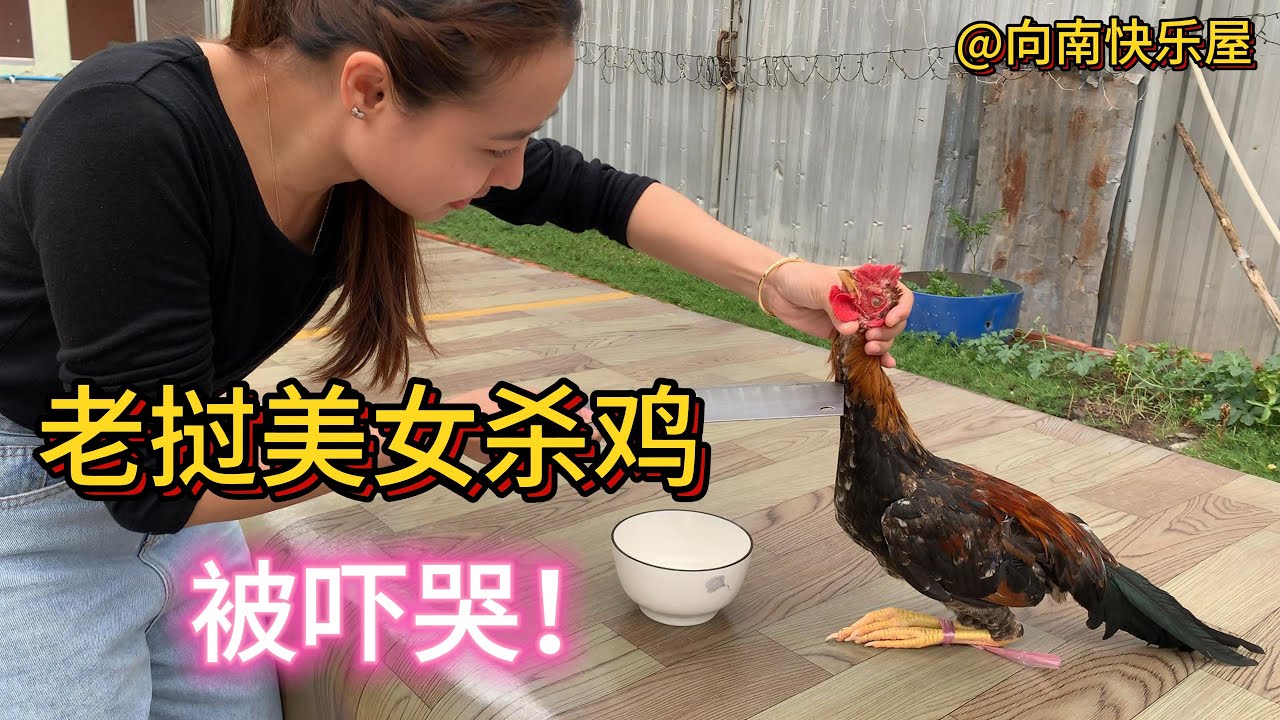 132期：阿星的大型”真香“现场