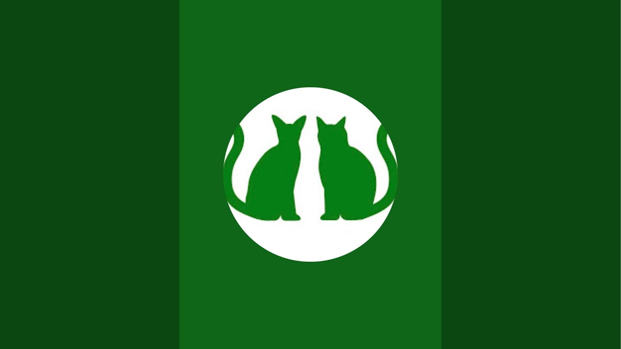 TOKUI VIDEO CAMP会場からお届け2