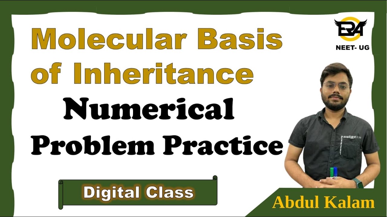 Molecular Basis of inheritance || Numerical practice || Genetics || Question practice || NEET
