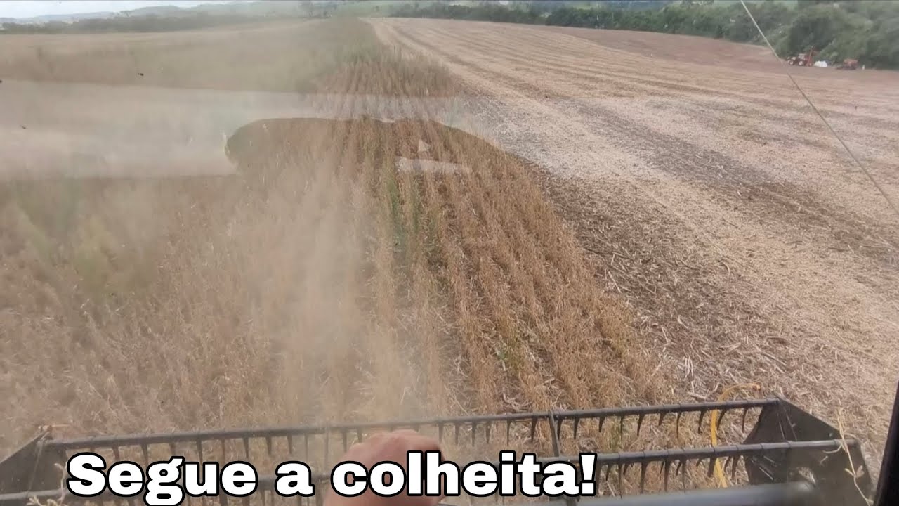 Continua a colheita e plantio do milho✅
