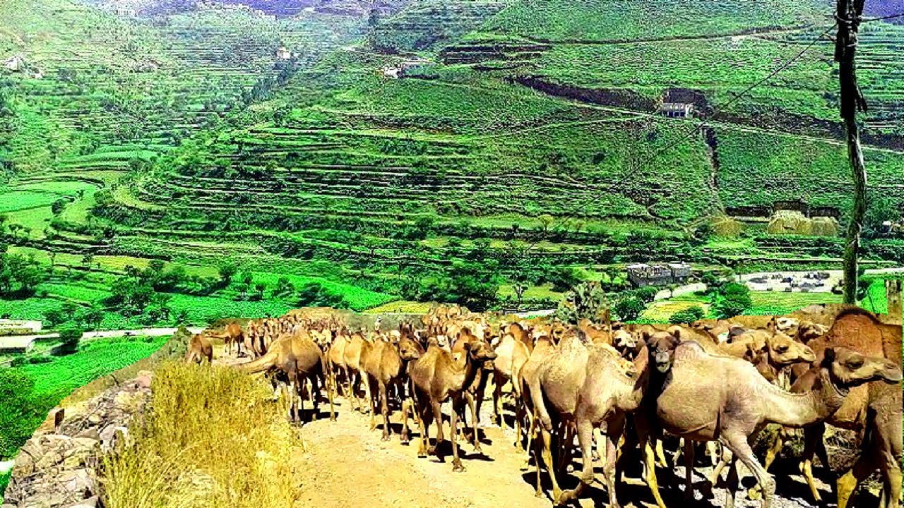 يا الله يا عالم الاسرار / اقوى توثيح  صوت اليمن / ومناظر جمال قووة
