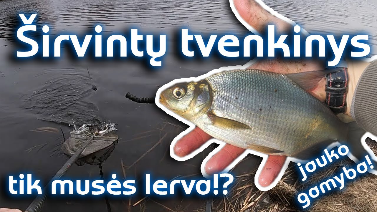 Netikėtas laimikis! ŽVEJYBA Širvintų tvenkinyje pavasarį