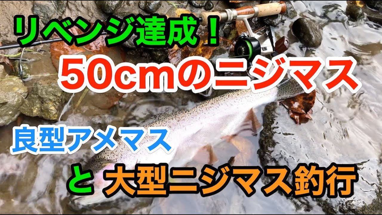 50cmのデカニジがヒット！良型アメマスと大型ニジマスのＮ河川リベンジ釣行！【北海道渓流ルアー】
