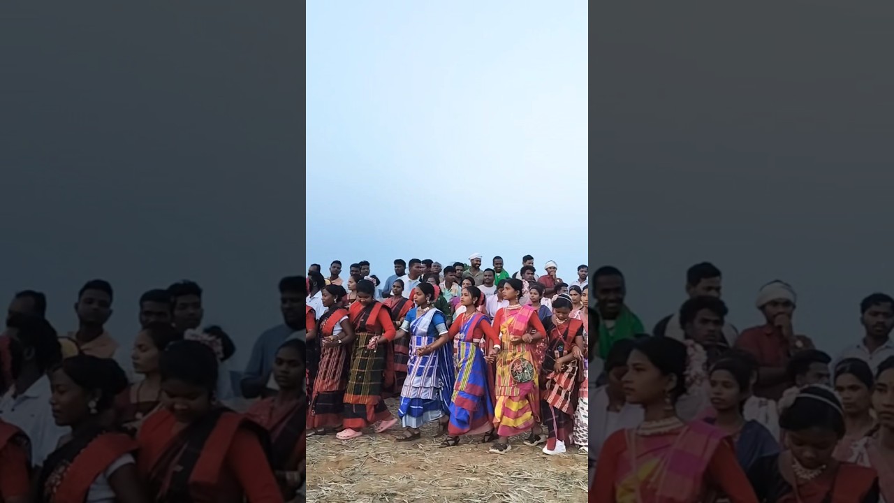 New Santali Shorts Video #shorts #shortfeed #shortsvideo #short #santali #song #santali #love