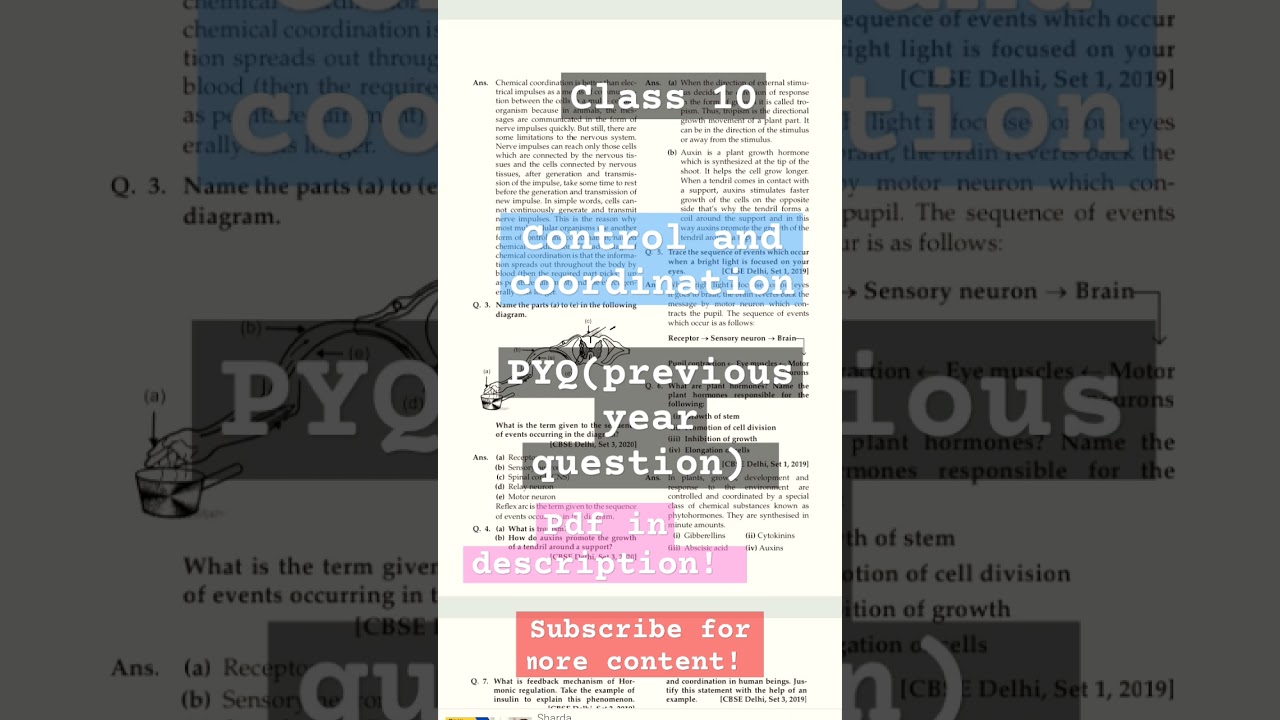 class 10/ control and coordination/ PYQ target 🎯 90+!.pdf!