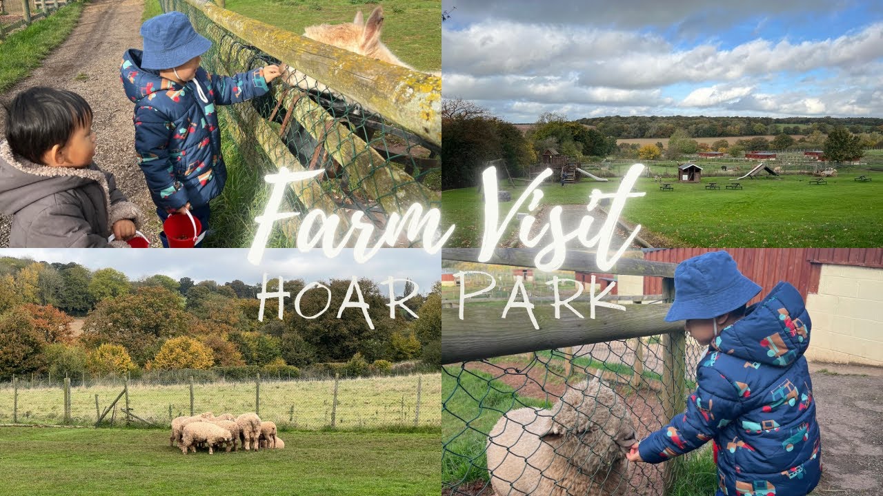Farm visit with toddlers #hoarpark #toddlers