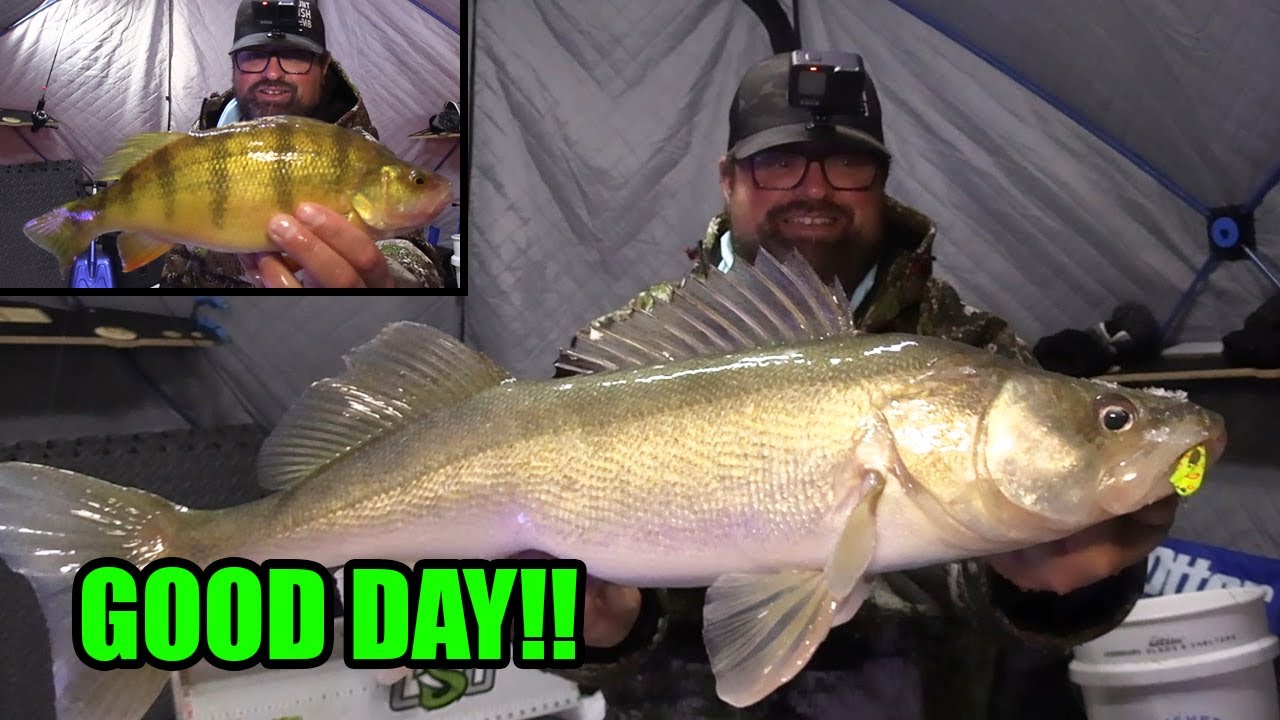 Ice Fishing for BIG Perch and Walleye!!