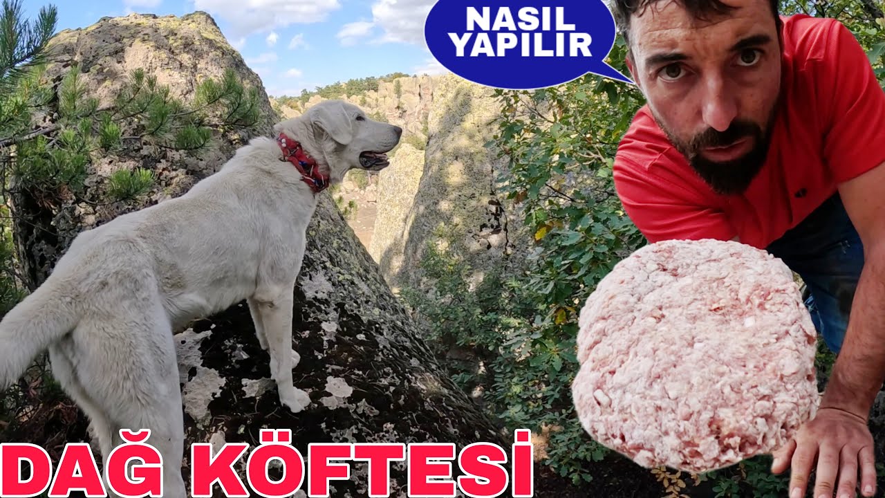 DAĞDA DEV BABA KÖFTESİ~KÖPEĞİMİN KARNI YARALANMIŞ~MANTAR AVCISI KOYUNLAR