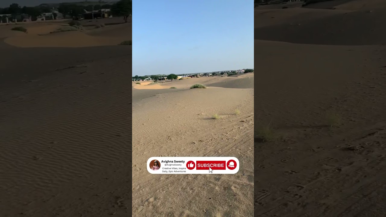 Sunrise 🌅 with camel 🐪 Ride| #desert  #sunrise wonderful view end #avighnasweety #earlymorning