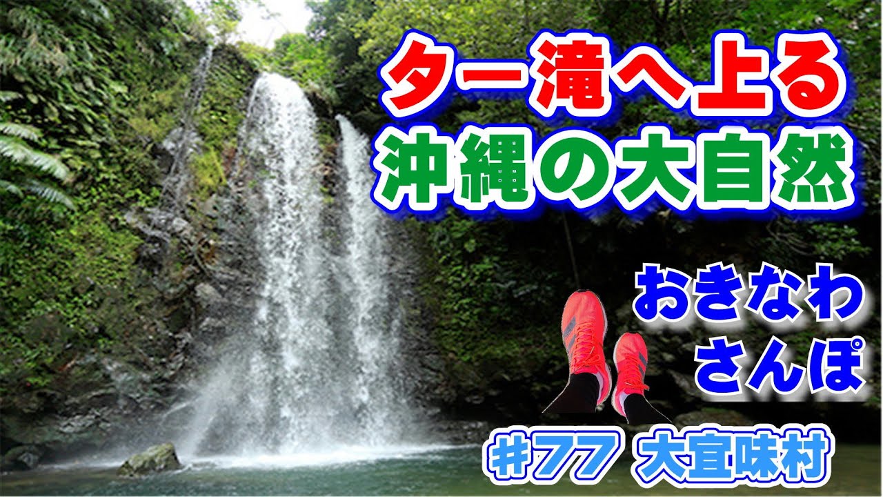 ♯77 おきなわさんぽ 大宜味村 沖縄の大自然 「ター滝」と｢平南川｣ 沖縄観光 沖縄旅行 うちなー