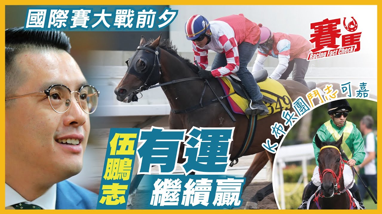 賽前Highlights｜12.7沙田日賽 伍鵬志開倉後每季均於國際賽前一次田戰交出頭馬 今期又有數糊籌碼 K布馬包辦近期田戰接近半數頭馬 今次有咩K布馬要留意呢 CC中文字幕#賽馬FactCheck