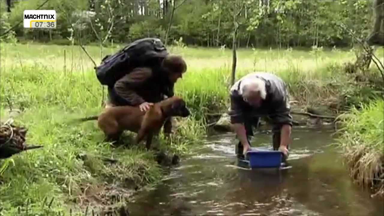Youtube Kacke - Andreas Kieling - Auf der Fährte der Bache