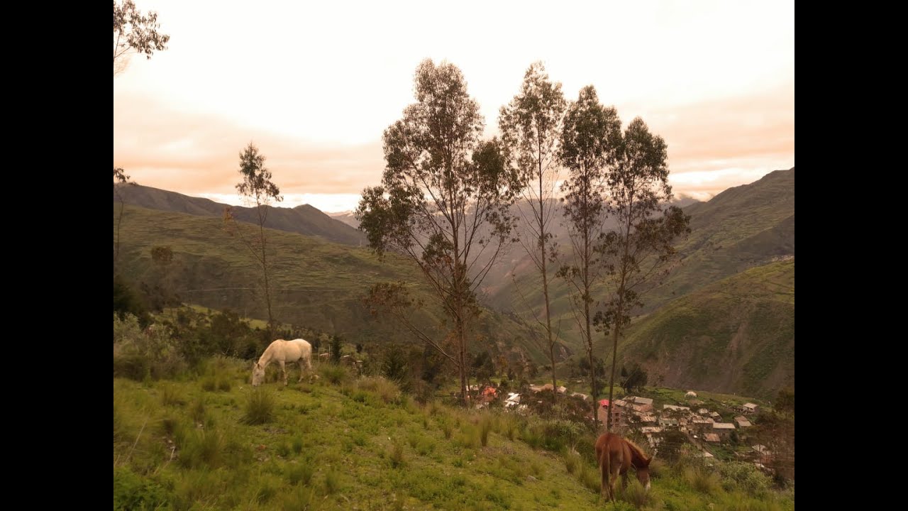 Sorejaya