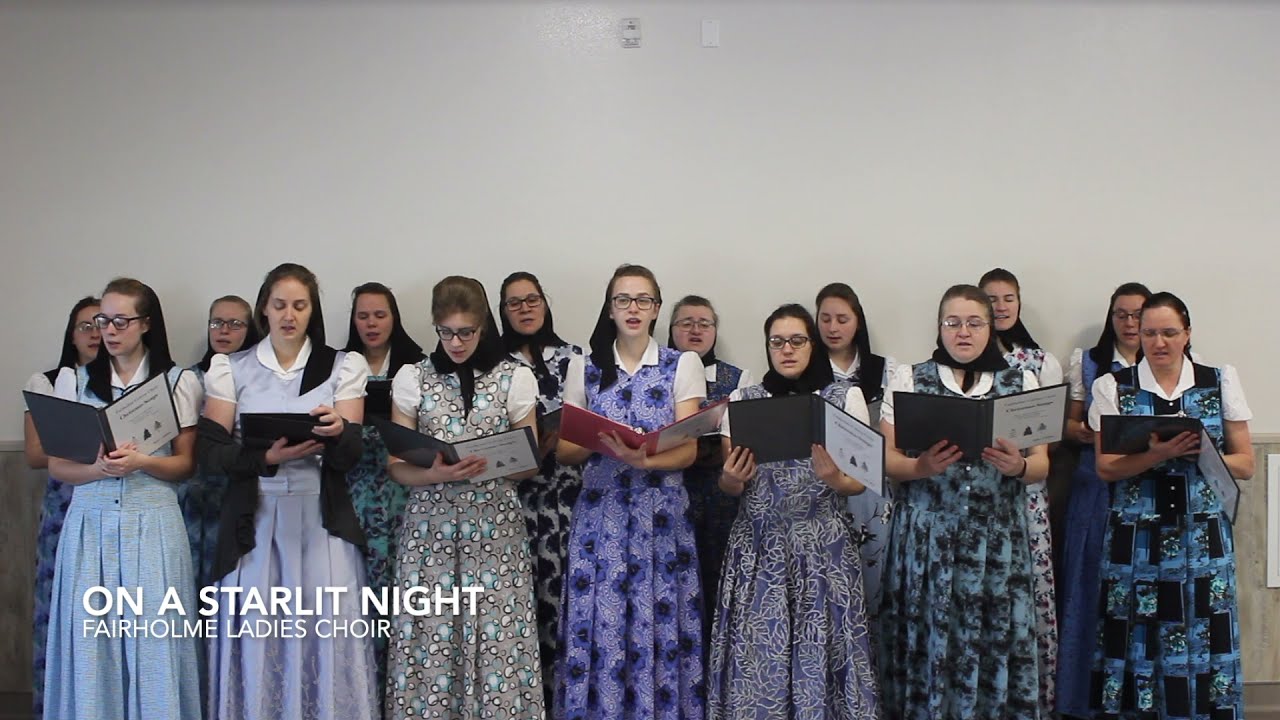 Bonus Track #2 On a Starlit Night