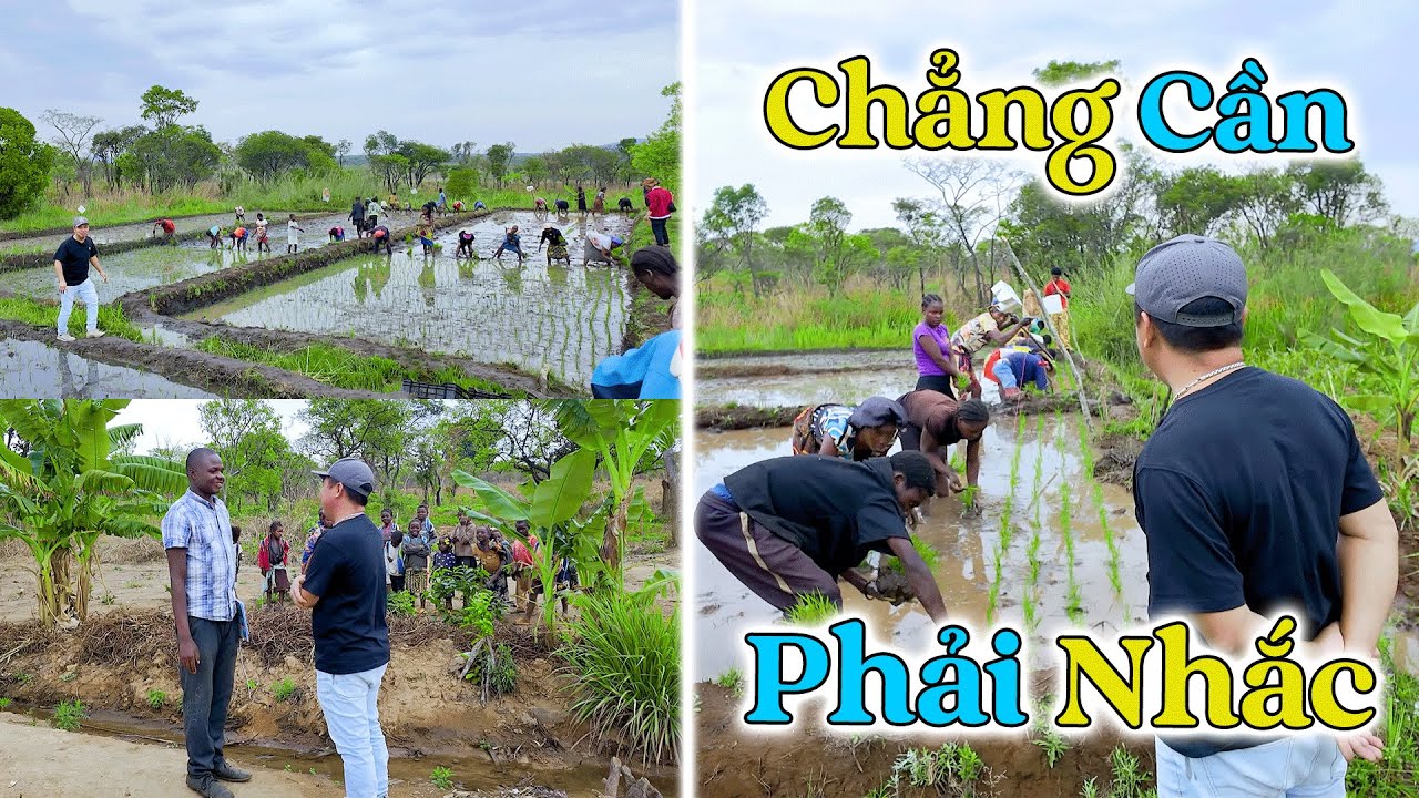 Đông Paulo || Giờ Thì Chẳng Nhắc Gì Mà Năng Suất Làm Việc Vẫn Cực Cao, Choáng Với Những Gì Thấy!