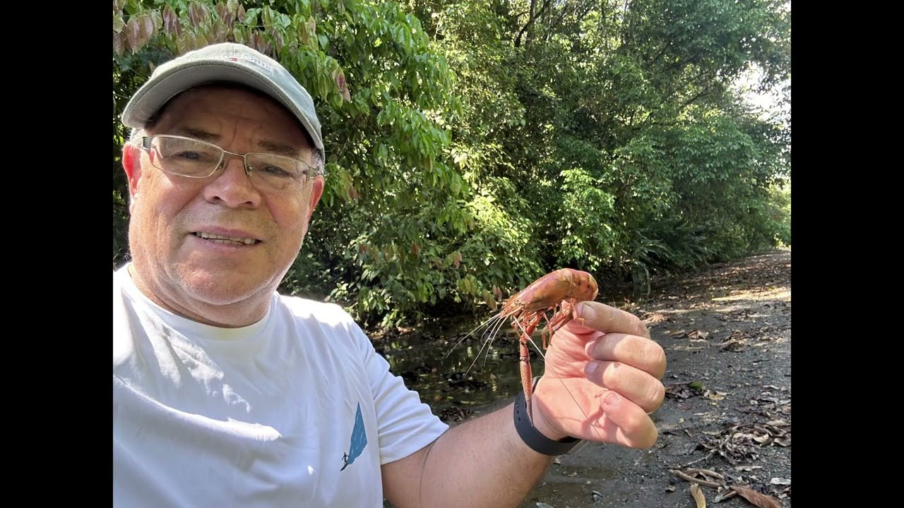 RIO AGUJAS,  Puerto Jiménez,  28 de Diciembre de 2025