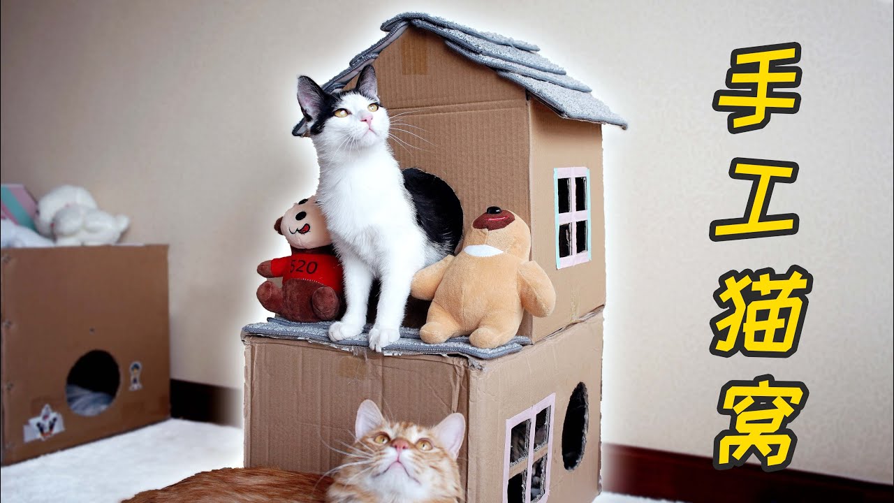 纸箱子做成猫窝