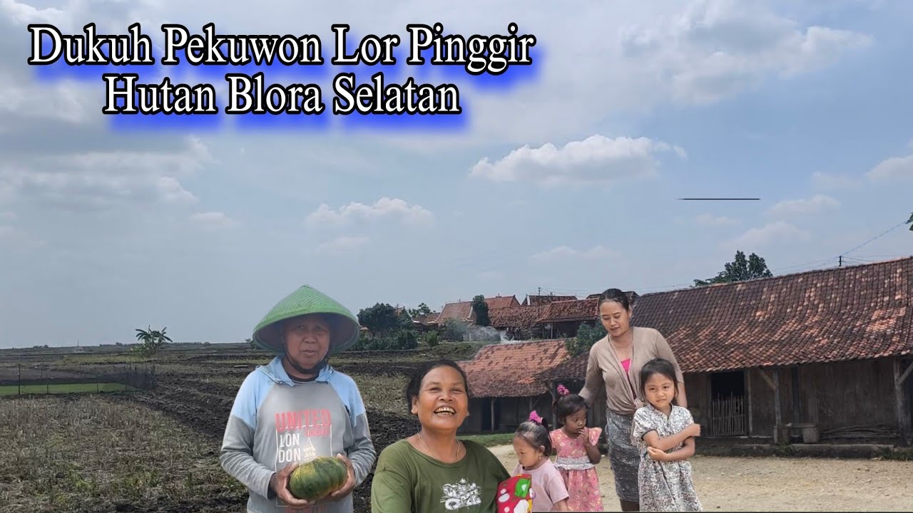 Antara Panen Waloh & Randu Untuk Kasur Tradisional Desa Pinggir Hutan (Desa Gabusan Blora Part 02)