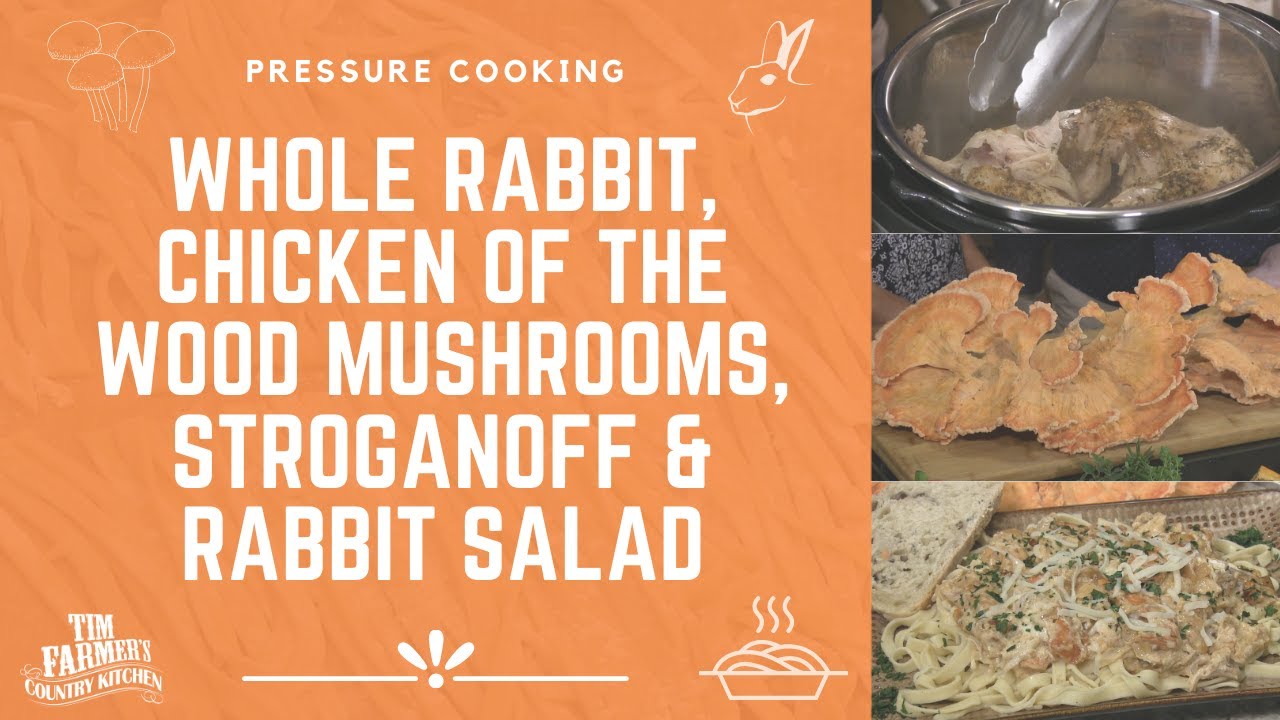 Whole Rabbit, Chicken of the Woods Mushrooms, Stroganoff & Rabbit Salad #928