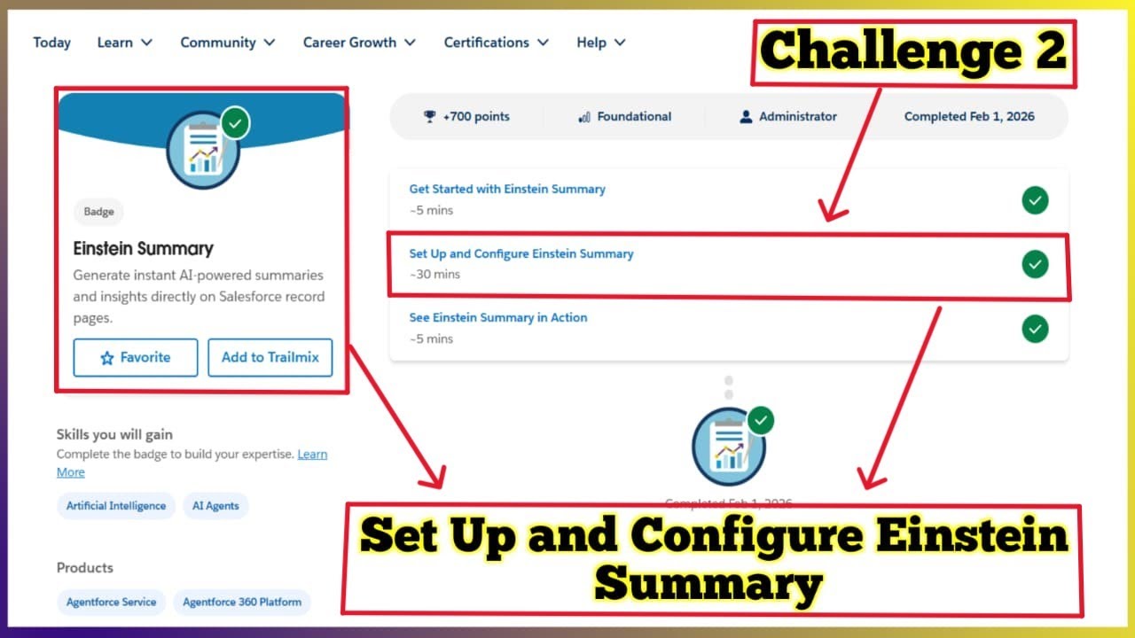 Set Up and Configure Einstein Summary | Einstein Summary | Challenge 2