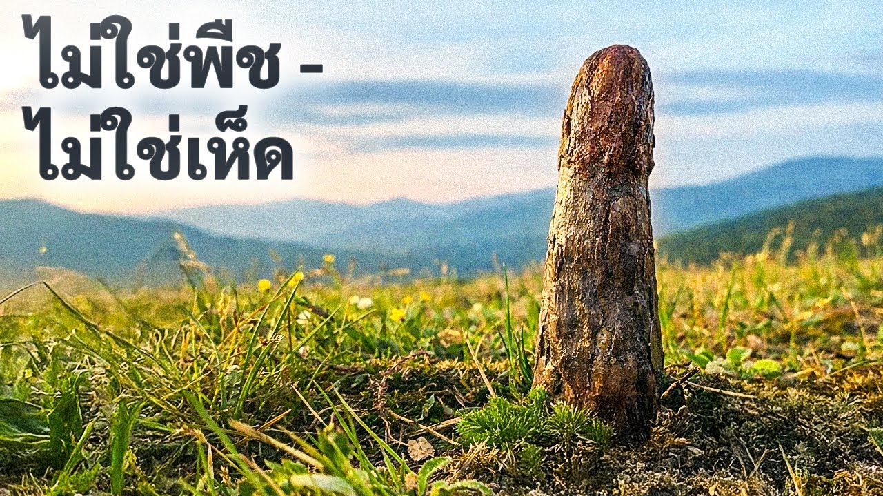 นักบรรพชีวินวิทยาค้นพบสิ่งมีชีวิตขนาดมหึมาที่ไม่เข้ากับแผนภูมิวิวัฒนาการของสิ่งมีชีวิต