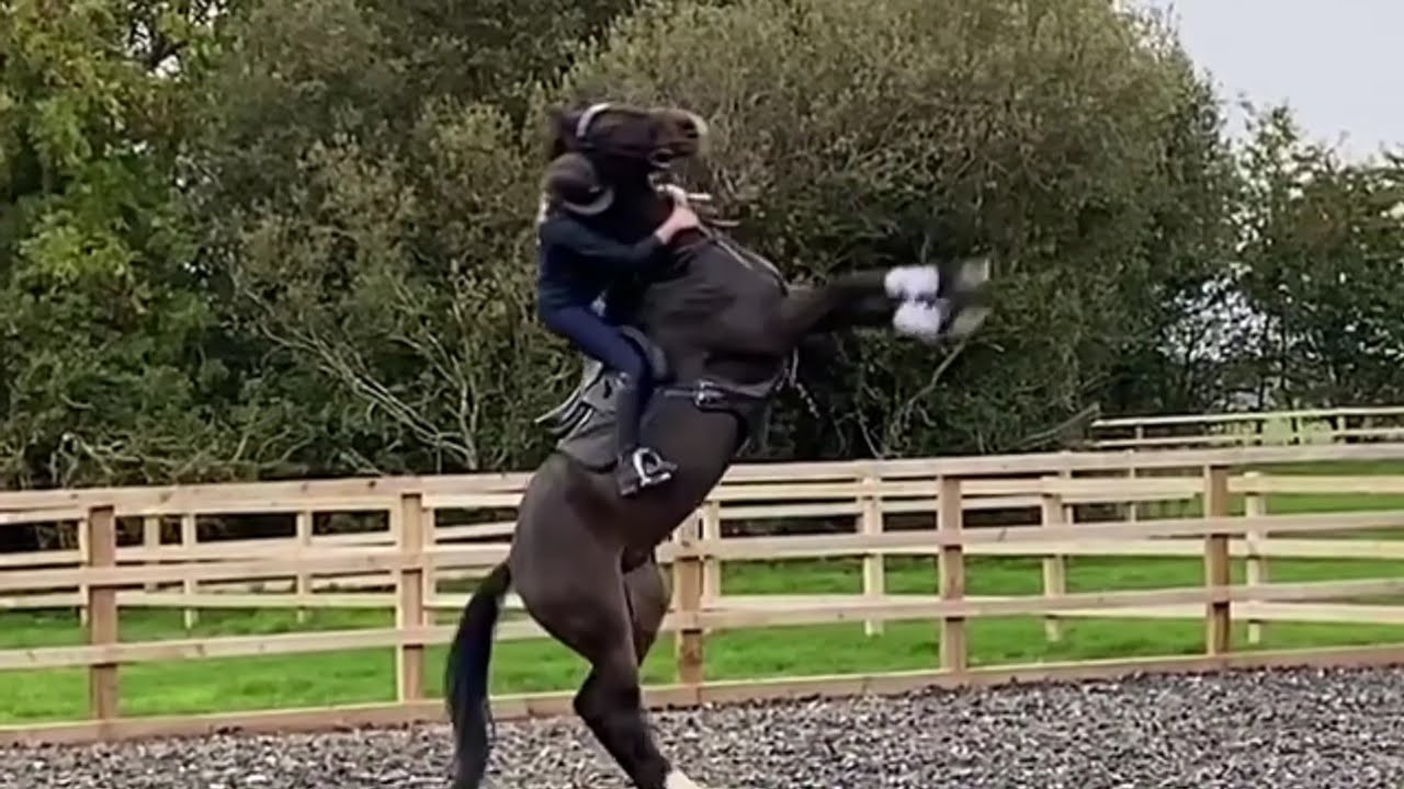 Equestrian falls, fails, outtakes!