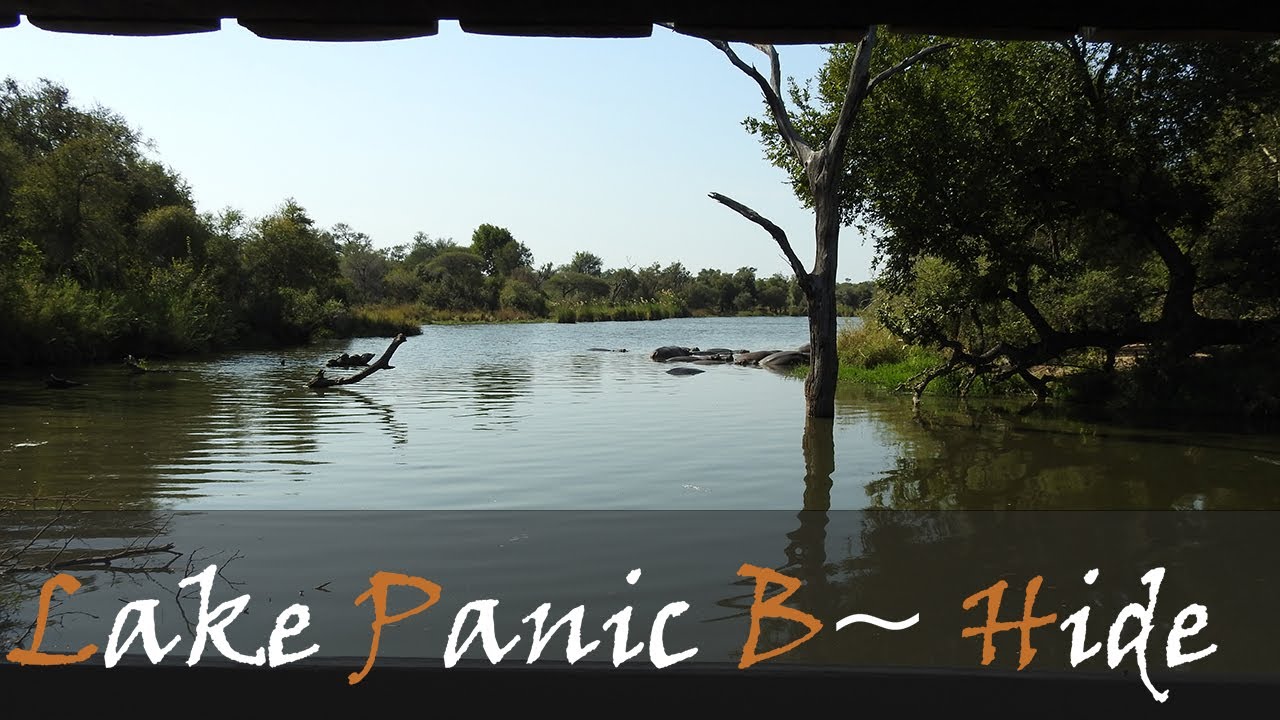 Lake Panic Bird Hide Video, Near Skukuza | Kruger National Park Bird Hides | Stories Of The Kruger