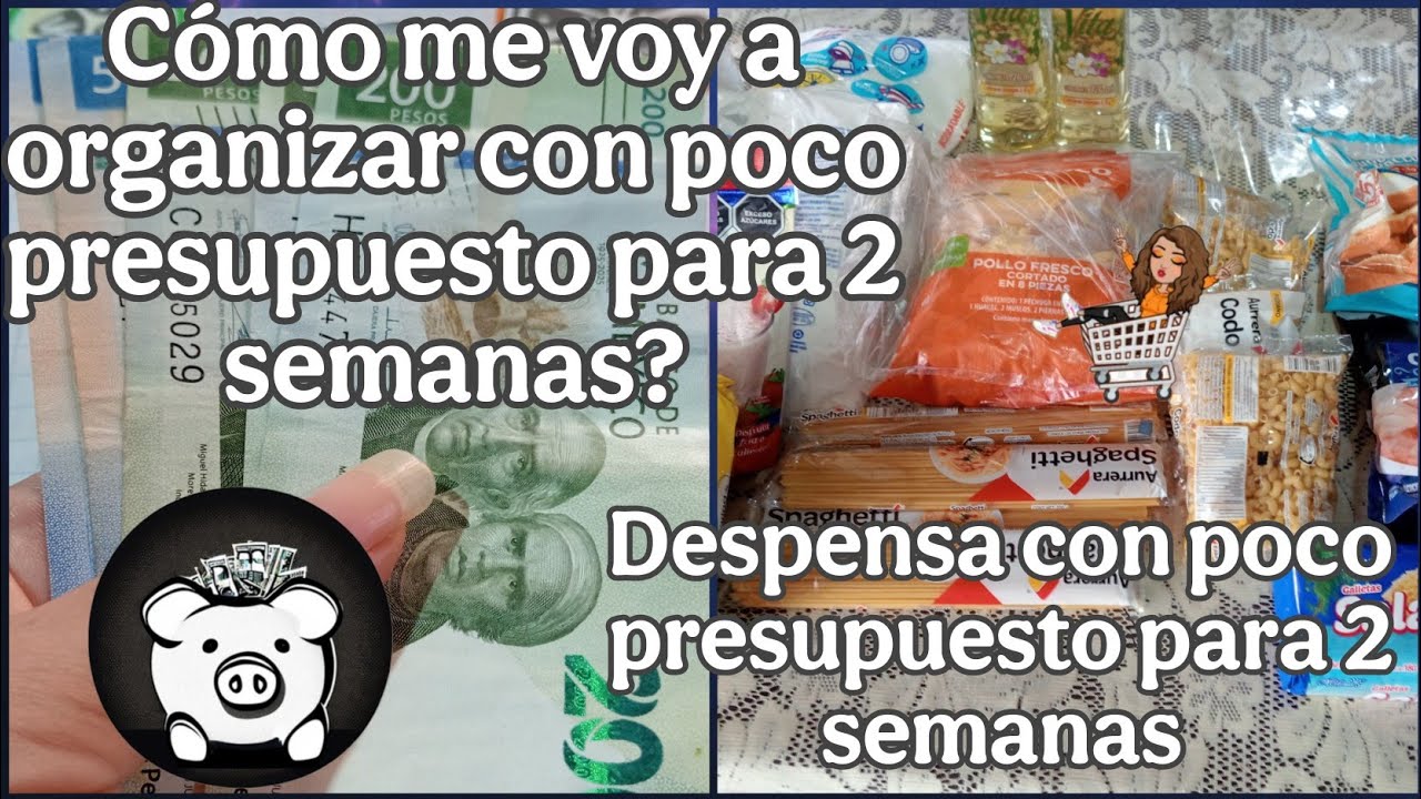 💰NUEVA ORGANIZACIÓN DEL GASTO SEMANAL | DESPENSA CON MENOS DE $700 PESOS MX 😱 PARA 2 SEMANAS