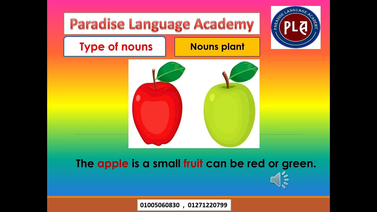 2  G4 Nouns plant